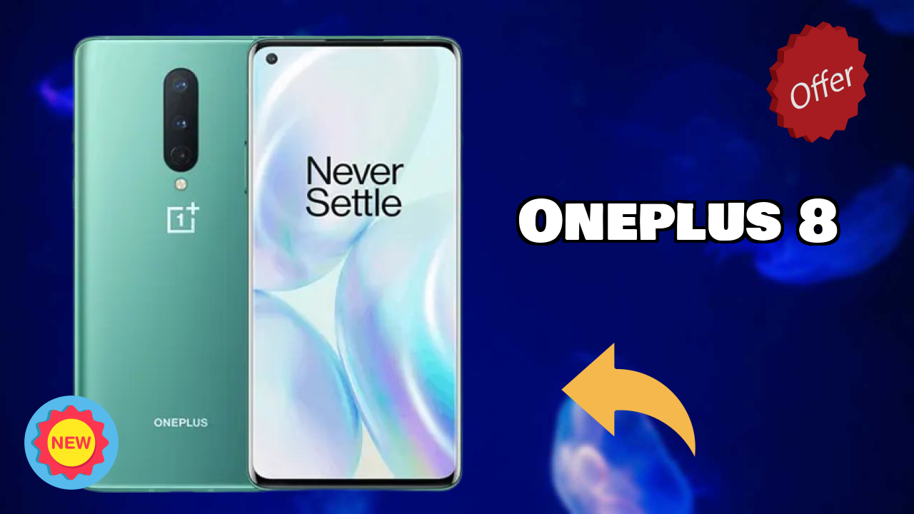 OnePlus 8 Camera Review: 48 MP + 16 MP + 2 MP Rear Camera Photo Quality
